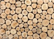 real wood logs pile background