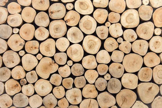 real wood logs pile background